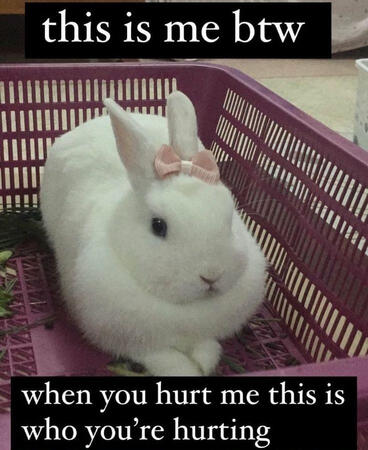 If I'm a bunny, there would be nothing to worry about!