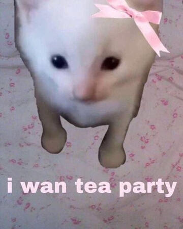 Tea party sounds fun.. But, uh I&#39;d only go to one if the guests are cute plushies, and, not people!